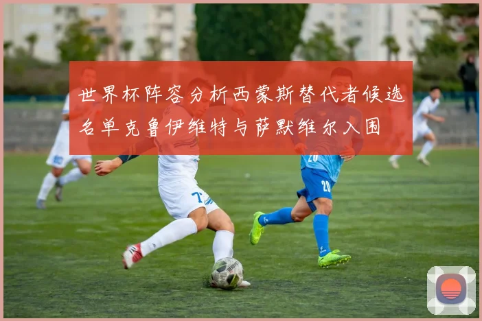 世界杯阵容分析西蒙斯替代者候选名单克鲁伊维特与萨默维尔入围
